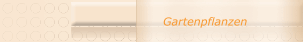Gartenpflanzen